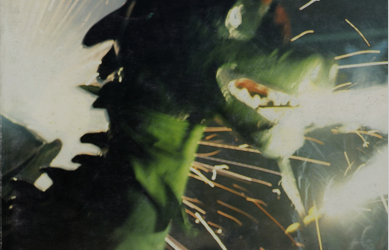 XI Correfoc de les Terres de l’Ebre 1993