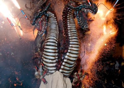 2008 Ebrecorrefoc (5)