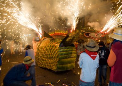 2009 Ebrecorrefoc (19)