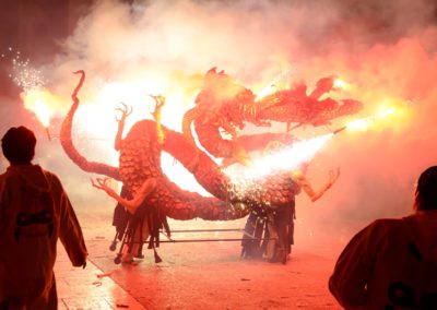 2012 Ebrecorrefoc (14)