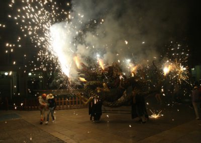 2013 Ebrecorrefoc (16)