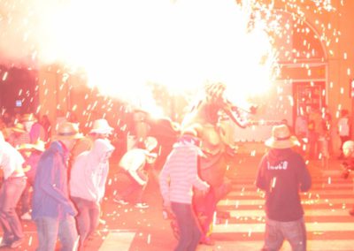 2013 Ebrecorrefoc (24)