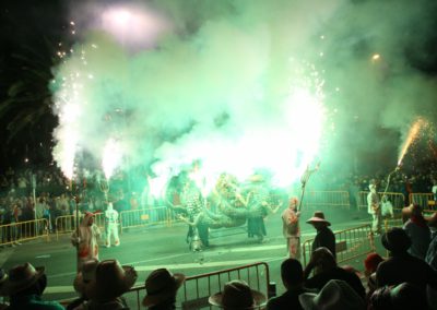 2013 Ebrecorrefoc (3)