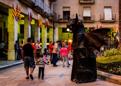 2015 Ebrecorrefoc (3)