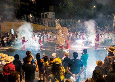 2016 Ebrecorrefoc XXXIII (35)