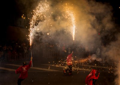 2016 Ebrecorrefoc XXXIII (40)