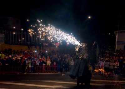 2016 Ebrecorrefoc XXXIII (42)