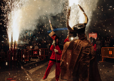 2017 Ajuntament Tortosa (11)